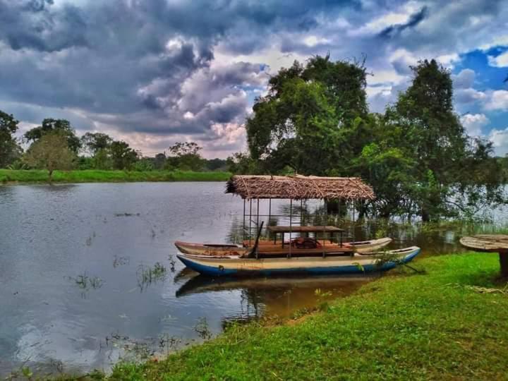 Elephant Safari Lodge Sigiriya Junction Habarana Εξωτερικό φωτογραφία