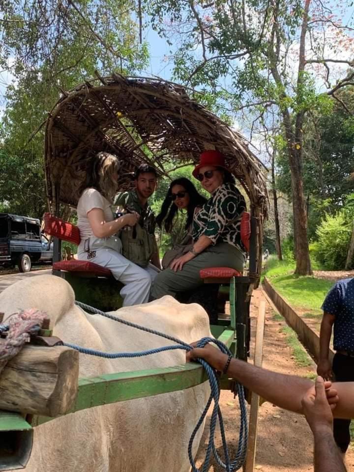 Elephant Safari Lodge Sigiriya Junction Habarana Εξωτερικό φωτογραφία