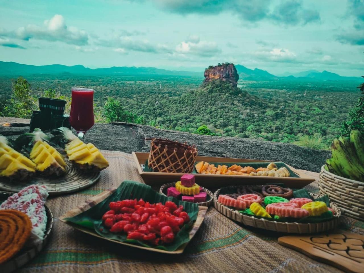 Elephant Safari Lodge Sigiriya Junction Habarana Εξωτερικό φωτογραφία