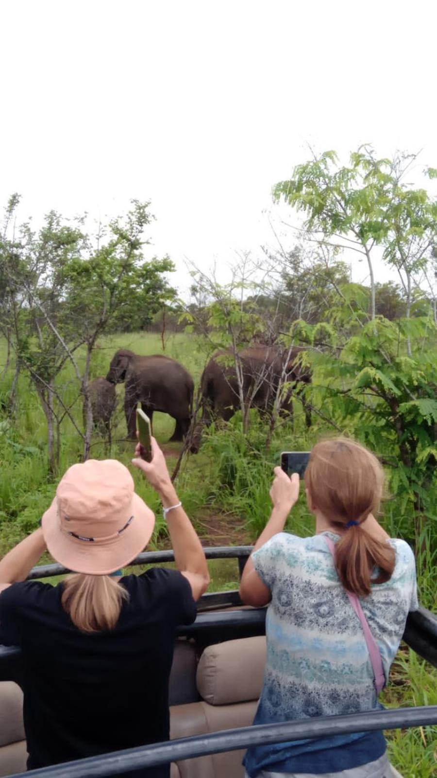 Elephant Safari Lodge Sigiriya Junction Habarana Εξωτερικό φωτογραφία