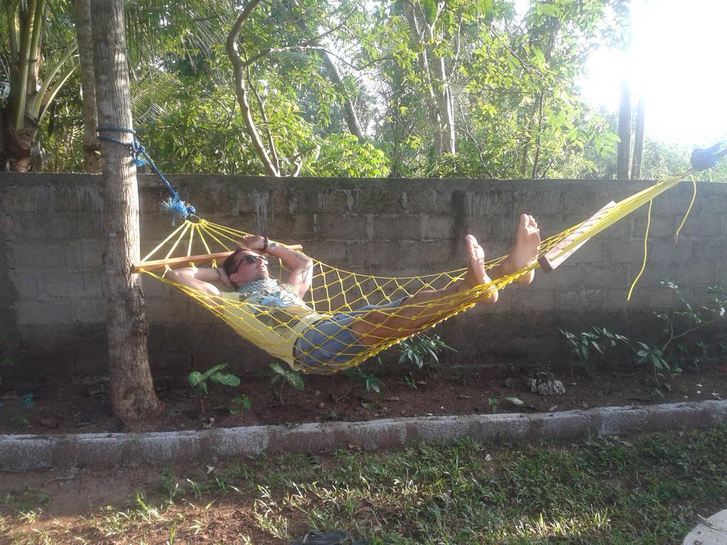 Elephant Safari Lodge Sigiriya Junction Habarana Εξωτερικό φωτογραφία