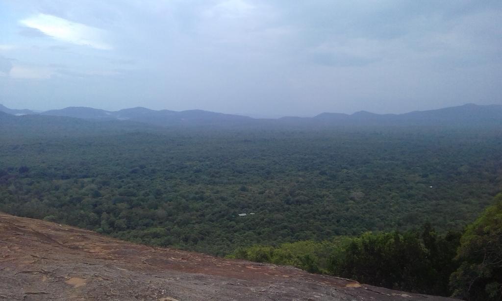 Elephant Safari Lodge Sigiriya Junction Habarana Εξωτερικό φωτογραφία