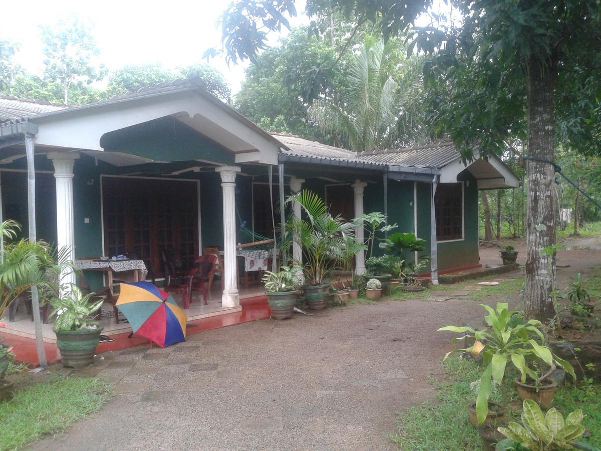 Elephant Safari Lodge Sigiriya Junction Habarana Εξωτερικό φωτογραφία