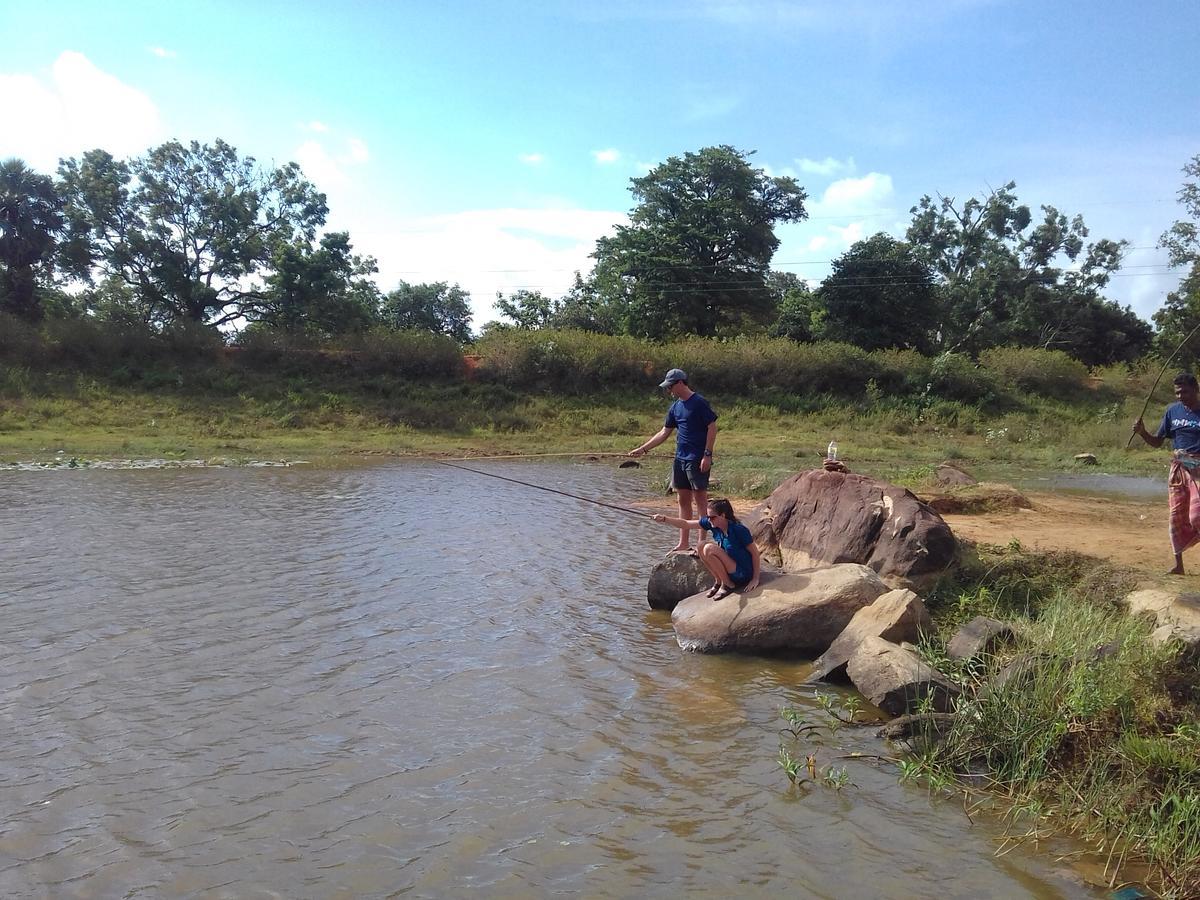 Elephant Safari Lodge Sigiriya Junction Habarana Εξωτερικό φωτογραφία