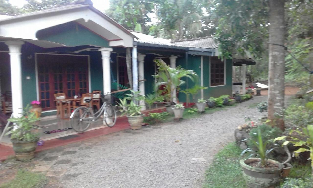 Elephant Safari Lodge Sigiriya Junction Habarana Εξωτερικό φωτογραφία