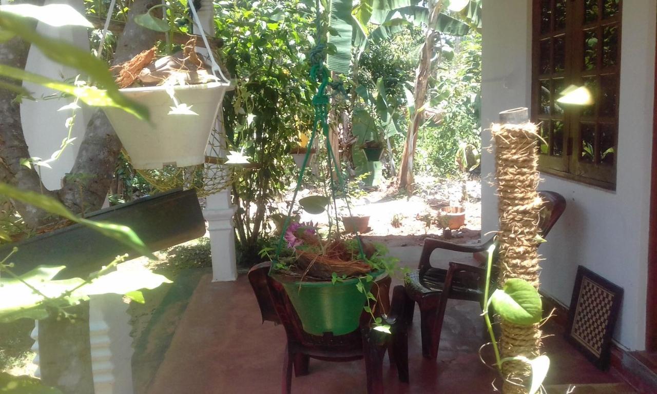 Elephant Safari Lodge Sigiriya Junction Habarana Εξωτερικό φωτογραφία
