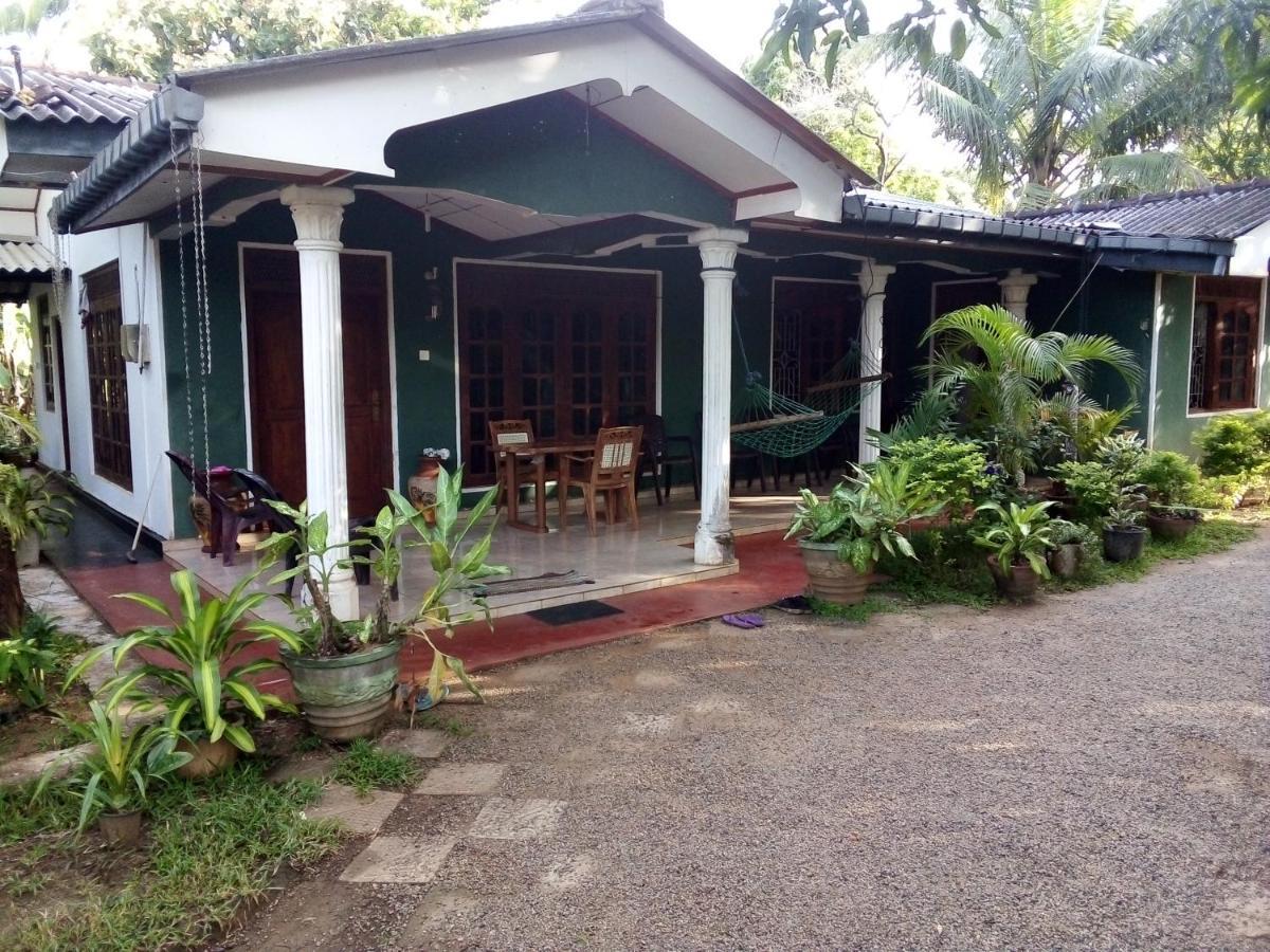 Elephant Safari Lodge Sigiriya Junction Habarana Εξωτερικό φωτογραφία